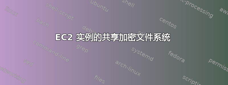 EC2 实例的共享加密文件系统