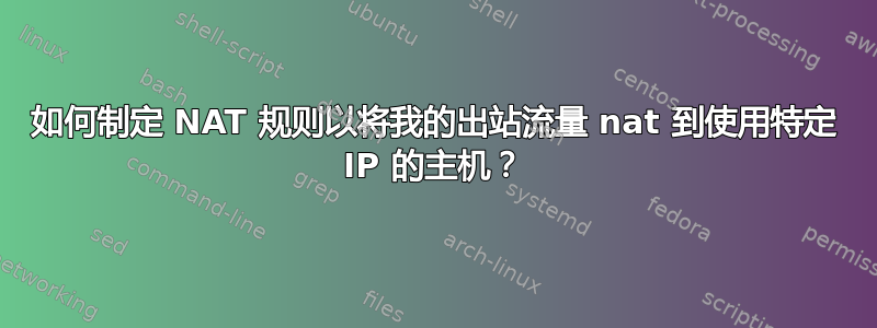 如何制定 NAT 规则以将我的出站流量 nat 到使用特定 IP 的主机？