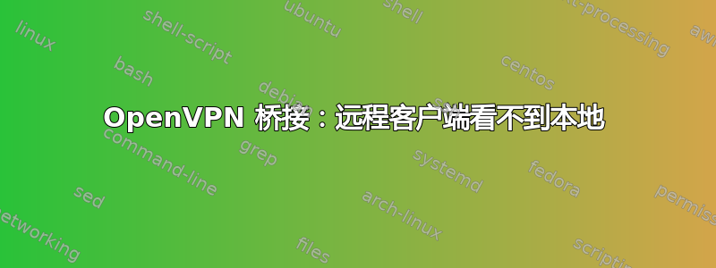 OpenVPN 桥接：远程客户端看不到本地