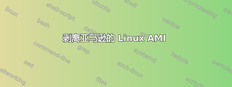 剥离亚马逊的 Linux AMI