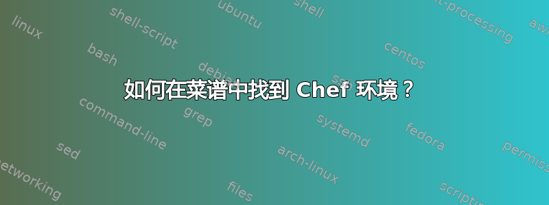 如何在菜谱中找到 Chef 环境？