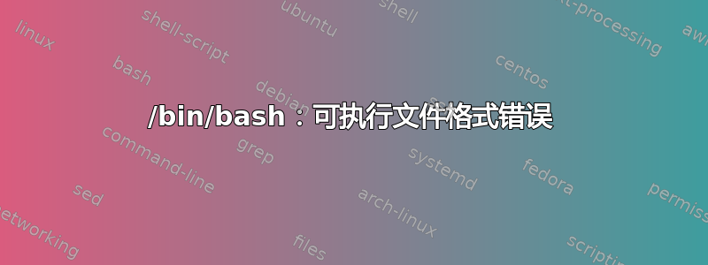 /bin/bash：可执行文件格式错误