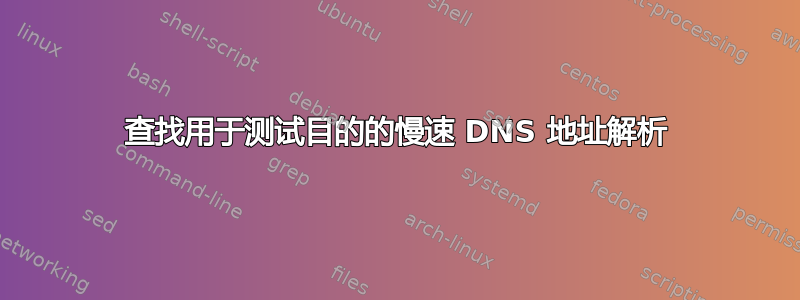 查找用于测试目的的慢速 DNS 地址解析