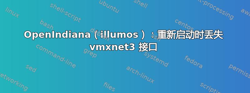 OpenIndiana（illumos）：重新启动时丢失 vmxnet3 接口