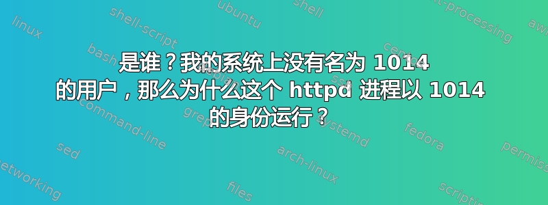 1014 是谁？我的系统上没有名为 1014 的用户，那么为什么这个 httpd 进程以 1014 的身份运行？