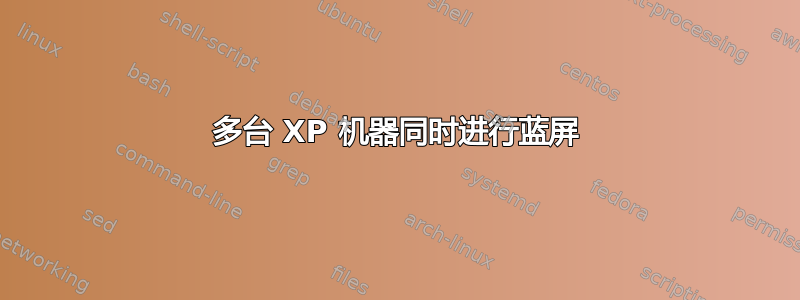 多台 XP 机器同时进行蓝屏