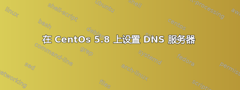 在 CentOs 5.8 上设置 DNS 服务器