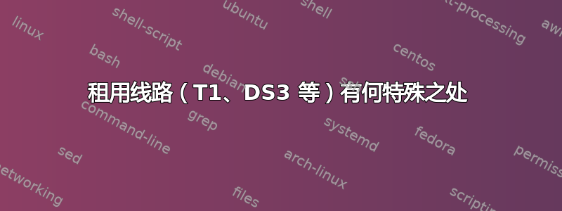 租用线路（T1、DS3 等）有何特殊之处