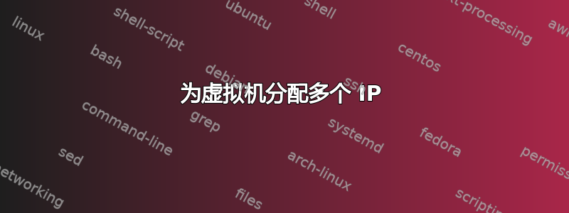 为虚拟机分配多个 IP