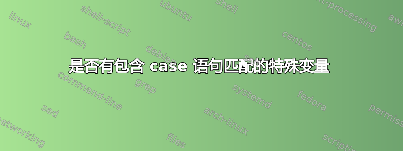 是否有包含 case 语句匹配的特殊变量