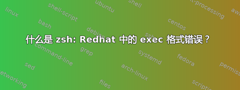 什么是 zsh: Redhat 中的 exec 格式错误？