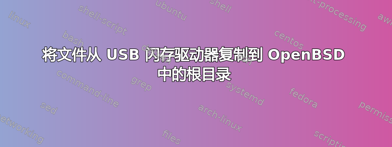 将文件从 USB 闪存驱动器复制到 OpenBSD 中的根目录