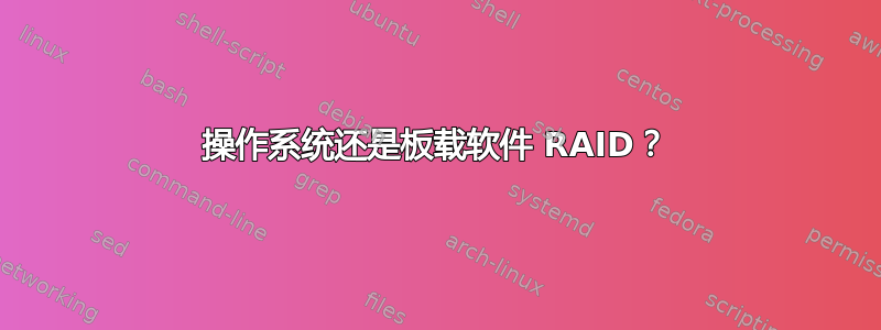 操作系统还是板载软件 RAID？