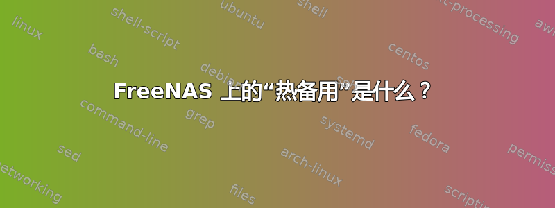 FreeNAS 上的“热备用”是什么？