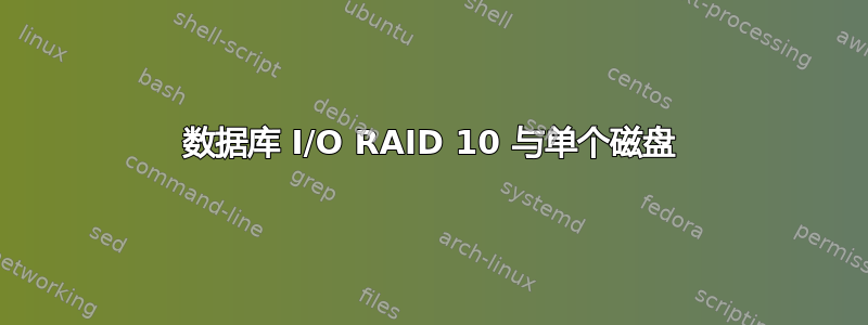 数据库 I/O RAID 10 与单个磁盘