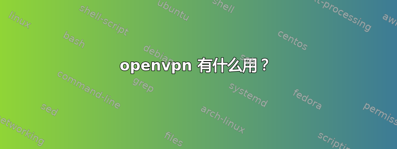 openvpn 有什么用？