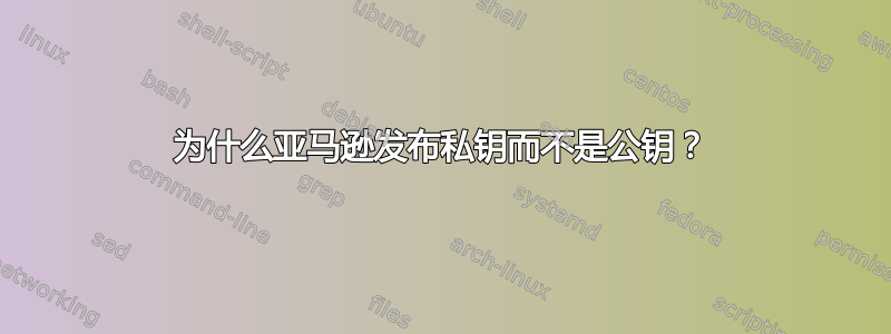 为什么亚马逊发布私钥而不是公钥？