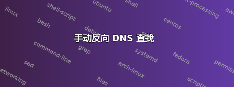 手动反向 DNS 查找 