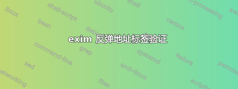 exim 反弹地址标签验证