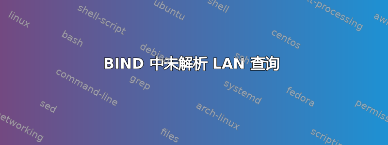 BIND 中未解析 LAN 查询