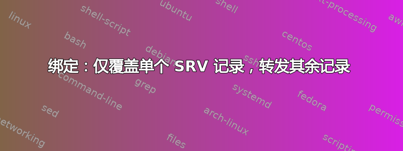 绑定：仅覆盖单个 SRV 记录，转发其余记录