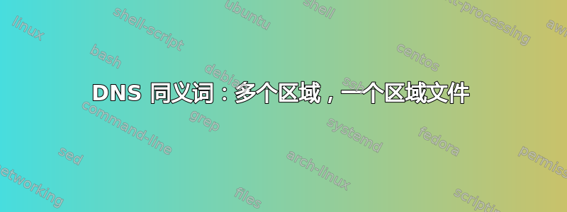 DNS 同义词：多个区域，一个区域文件