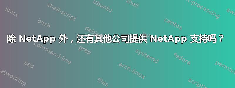 除 NetApp 外，还有其他公司提供 NetApp 支持吗？