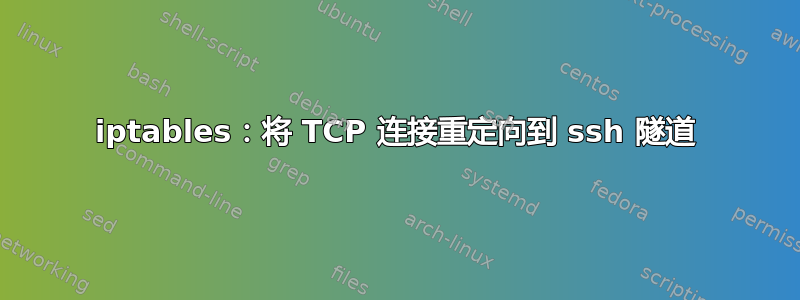 iptables：将 TCP 连接重定向到 ssh 隧道