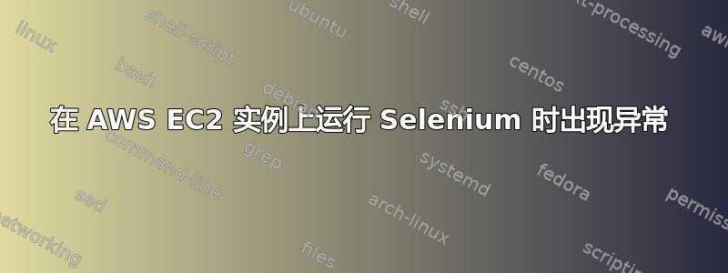 在 AWS EC2 实例上运行 Selenium 时出现异常