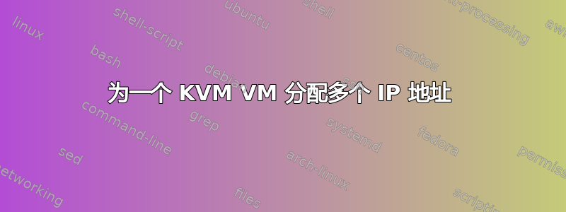 为一个 KVM VM 分配多个 IP 地址