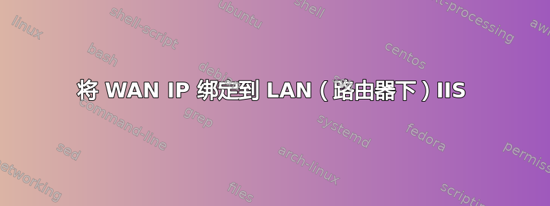 将 WAN IP 绑定到 LAN（路由器下）IIS