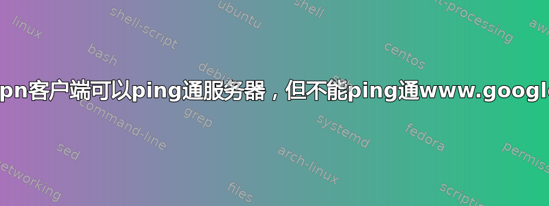 Openvpn客户端可以ping通服务器，但不能ping通www.google.com