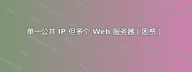 单一公共 IP 但多个 Web 服务器（困惑）