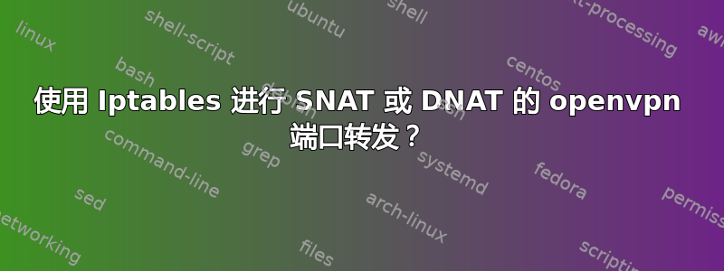 使用 Iptables 进行 SNAT 或 DNAT 的 openvpn 端口转发？