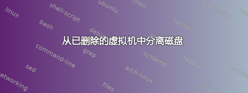 从已删除的虚拟机中分离磁盘