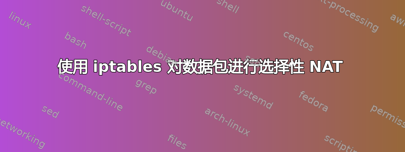 使用 iptables 对数据包进行选择性 NAT