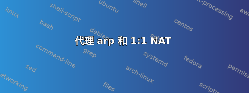 代理 arp 和 1:1 NAT