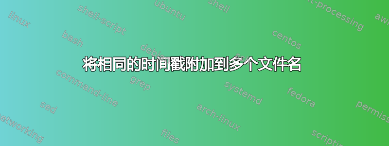 将相同的时间戳附加到多个文件名