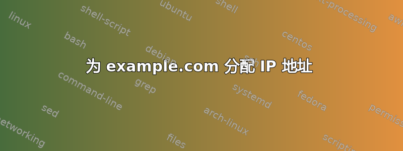 为 example.com 分配 IP 地址