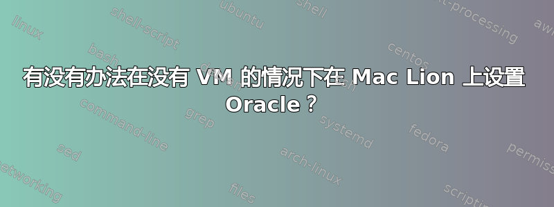 有没有办法在没有 VM 的情况下在 Mac Lion 上设置 Oracle？