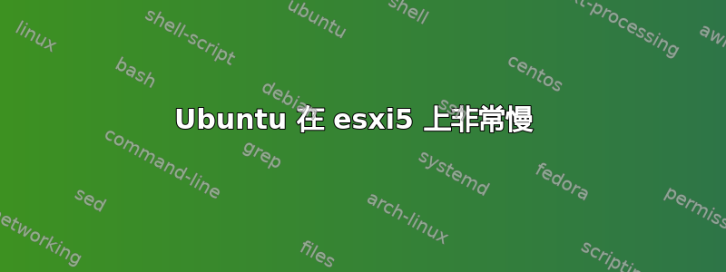 Ubuntu 在 esxi5 上非常慢 