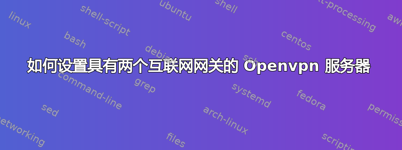 如何设置具有两个互联网网关的 Openvpn 服务器