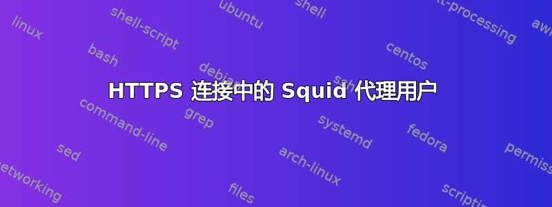 HTTPS 连接中的 Squid 代理用户