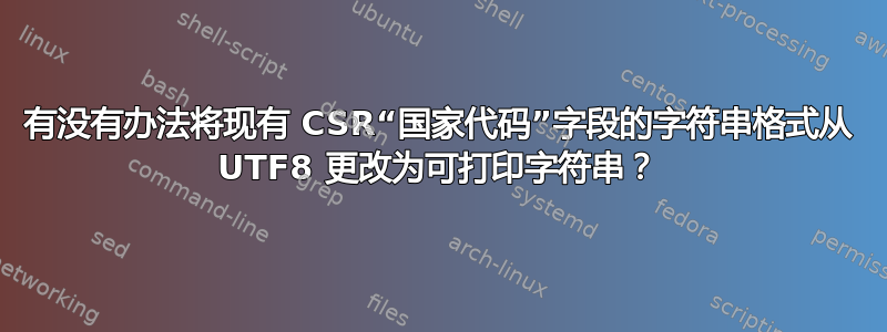 有没有办法将现有 CSR“国家代码”字段的字符串格式从 UTF8 更改为可打印字符串？