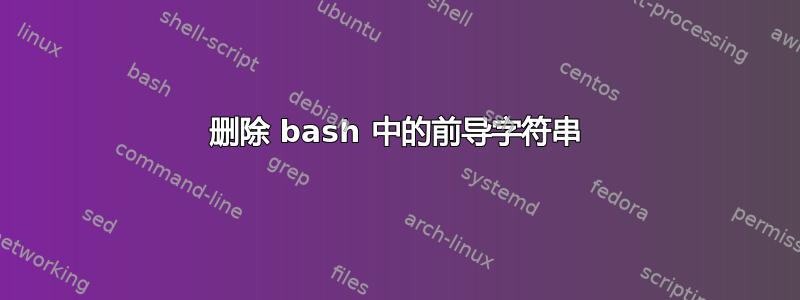 删除 bash 中的前导字符串