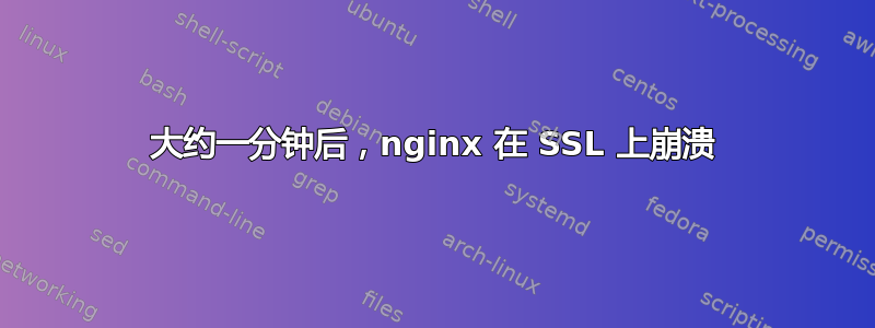 大约一分钟后，nginx 在 SSL 上崩溃