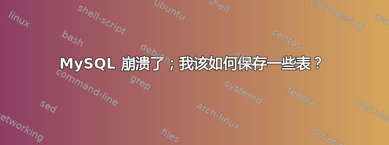 MySQL 崩溃了；我该如何保存一些表？