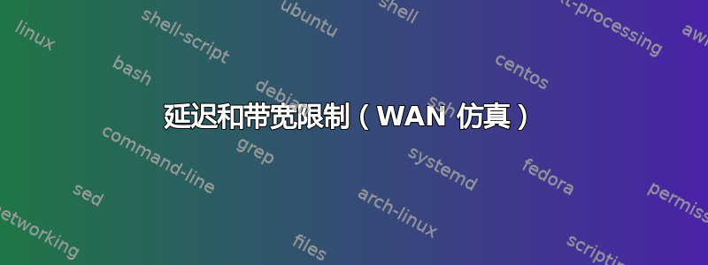 延迟和带宽限制（WAN 仿真）