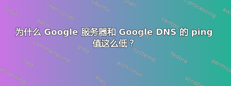 为什么 Google 服务器和 Google DNS 的 ping 值这么低？