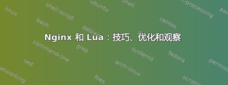 Nginx 和 Lua：技巧、优化和观察